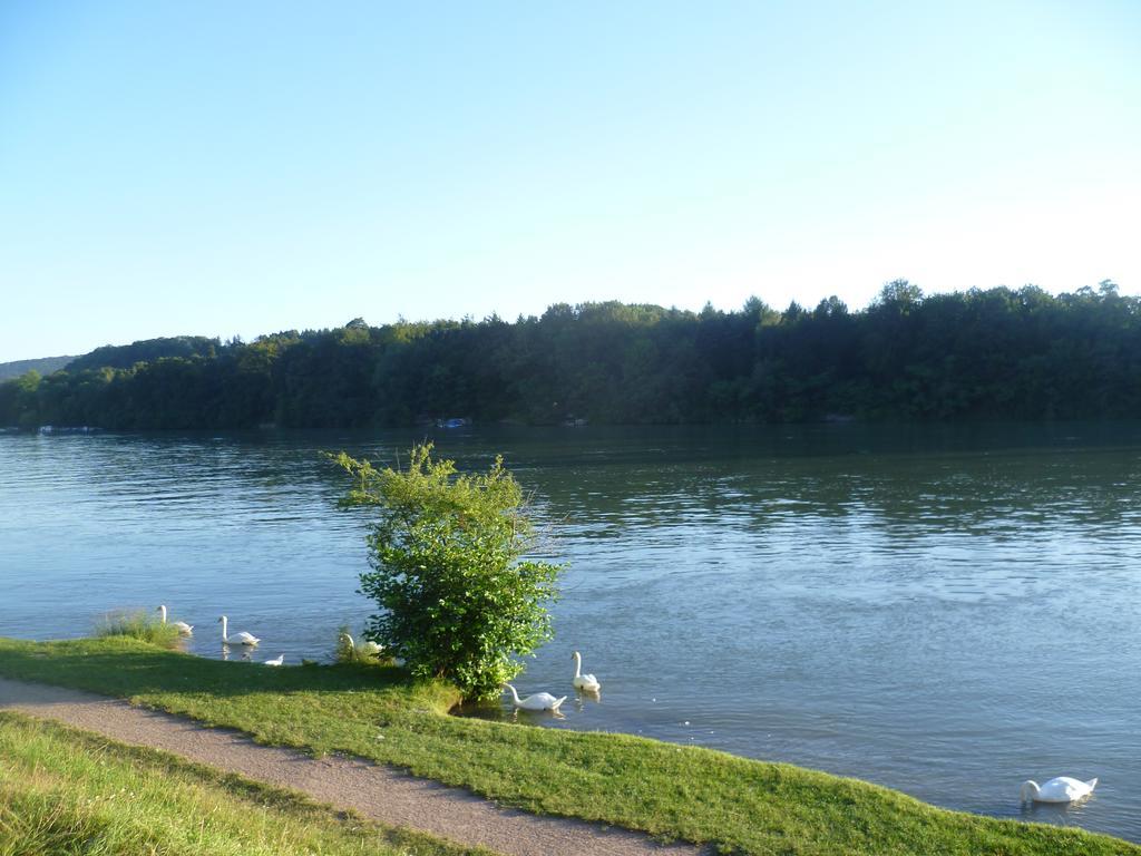 Storchennest Apartment Bad Sackingen Luaran gambar