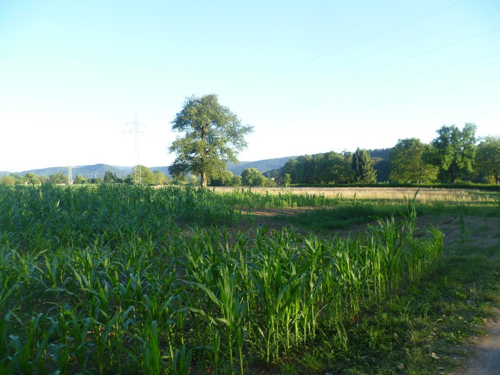 Storchennest Apartment Bad Sackingen Luaran gambar