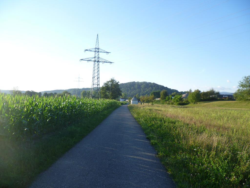 Storchennest Apartment Bad Sackingen Luaran gambar